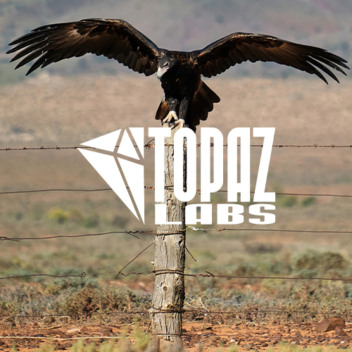 Topaz Labs Review
